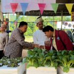 asyura day celebration